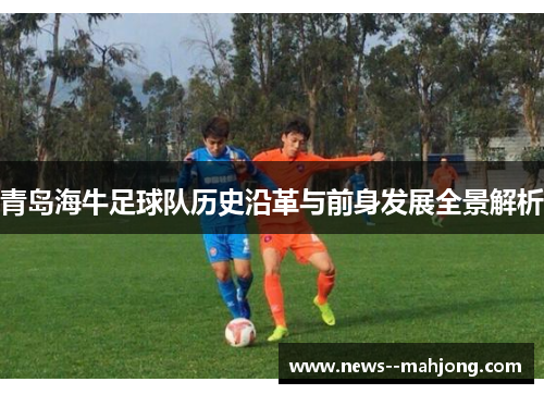 青岛海牛足球队历史沿革与前身发展全景解析