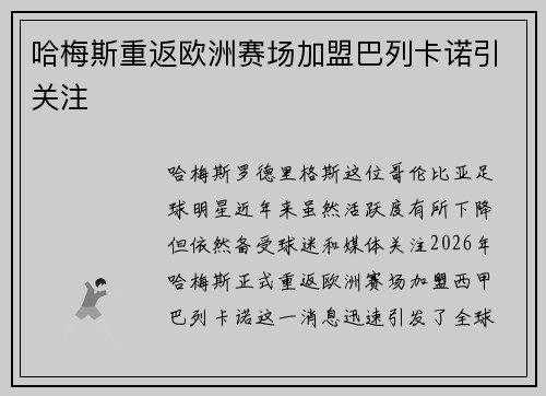 哈梅斯重返欧洲赛场加盟巴列卡诺引关注